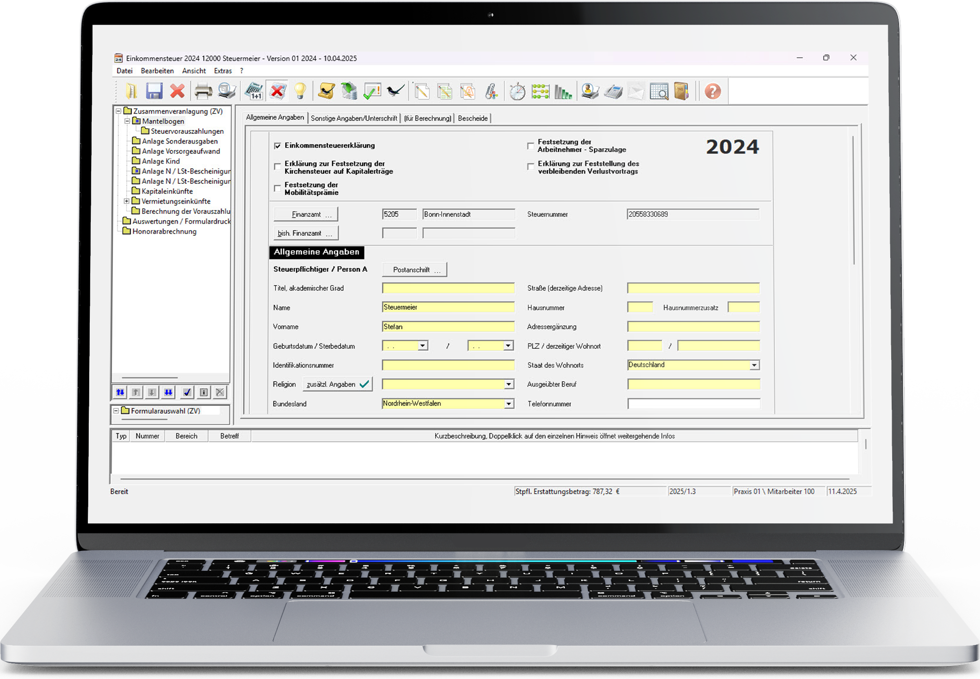 Screenshot: Einkommensteuererklärungen erstellen